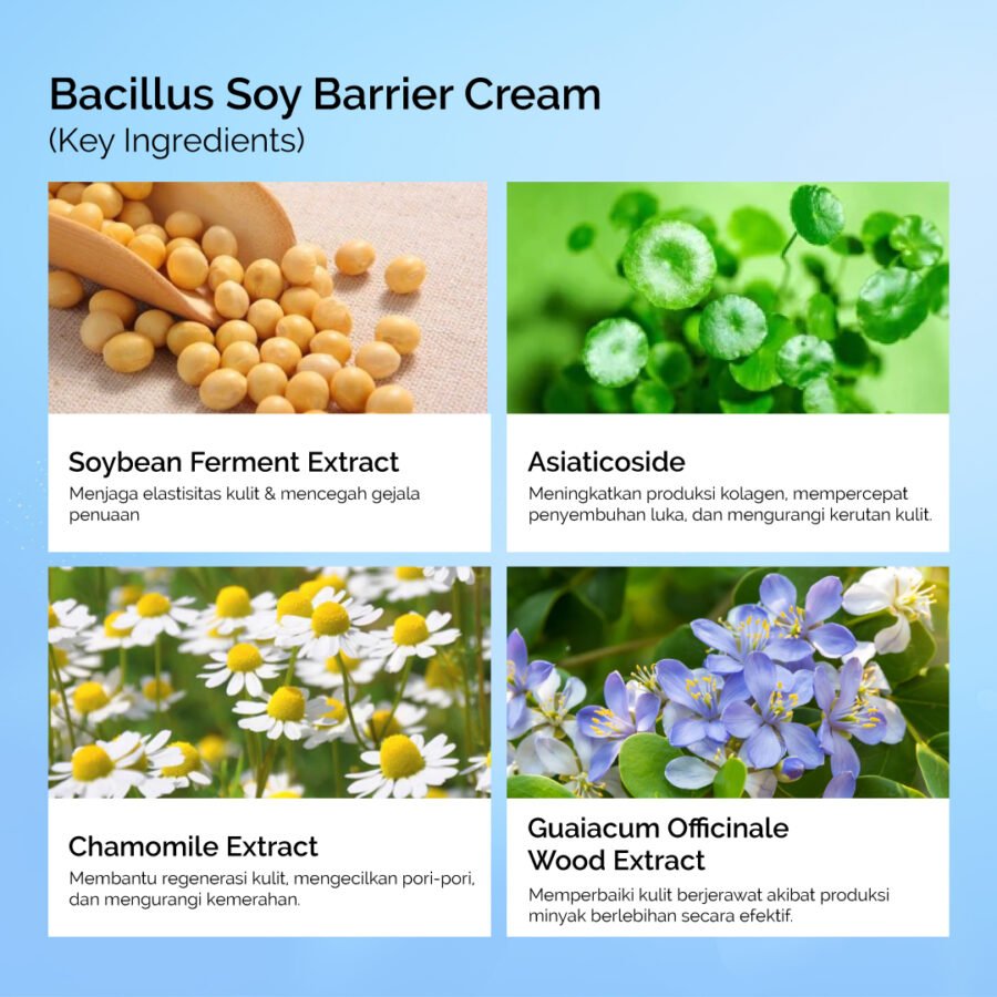 Collinlab Bacillus Soy Barrier Cream